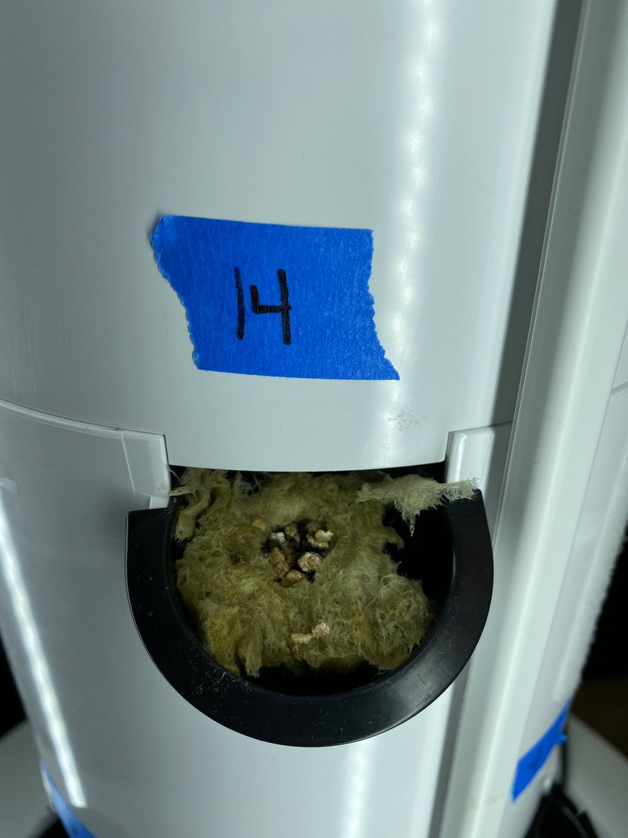 MrsGrenter's tweet image. Tower is constructed 🔩, seeds are planted👩🏼‍🌾, water pump is flowing💧, and now we wait... 🌱#8Blue #TheMartian #PBL #BuckPride #schoolgarden @GHMSBuckskins @CVSciTech @TowerGarden