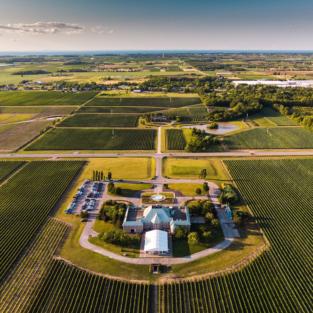 WineCountryOnt's tweet photo. #StDavidsBench is a sub-appellation within the #NiagaraPeninsula which lies 10 km south of the shore of Lake Ontario and several meters above Lake Iroquois Plain.
This sub-appellation produces healthy vine growth and fruit with well developed character.
📸 @chateaudescharmes https://t.co/jYQPHV4eVa