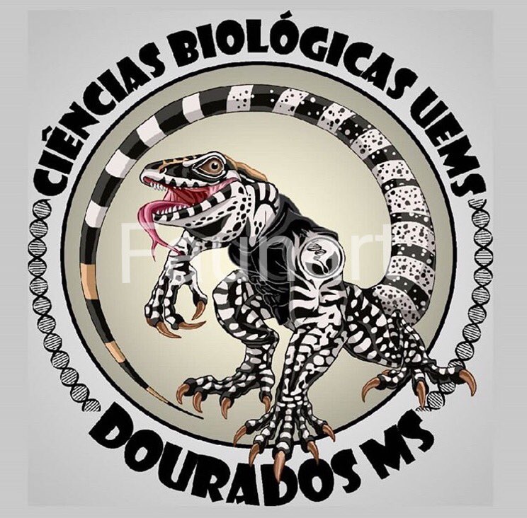 faunart's tweet photo. A few more logos I have created for companies, conservation programmes and university courses over the last few years. Get in touch if you need a logo or a scientific illustration #illustration #drawing #sciart #scicomm #sketches #AcademicTwitter #AcademicChatter 😁👏🏻🤗 https://t.co/ncUr9L6tzr