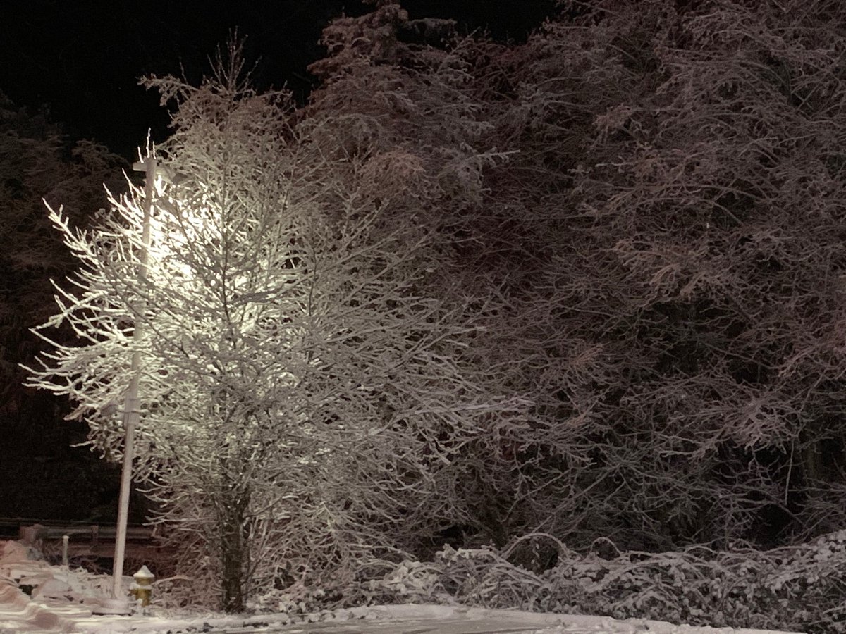 gingerlyspice's tweet photo. Baby it’s cold 🥶 outside and inside! #WinterWonderland #winterishere #wintertemps https://t.co/1qUePBWFvo