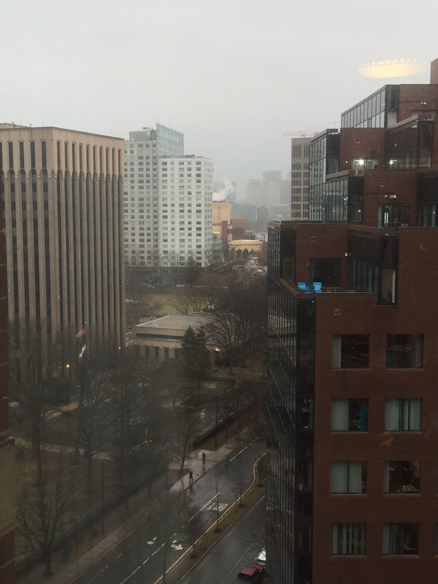 Angela Young tweet media