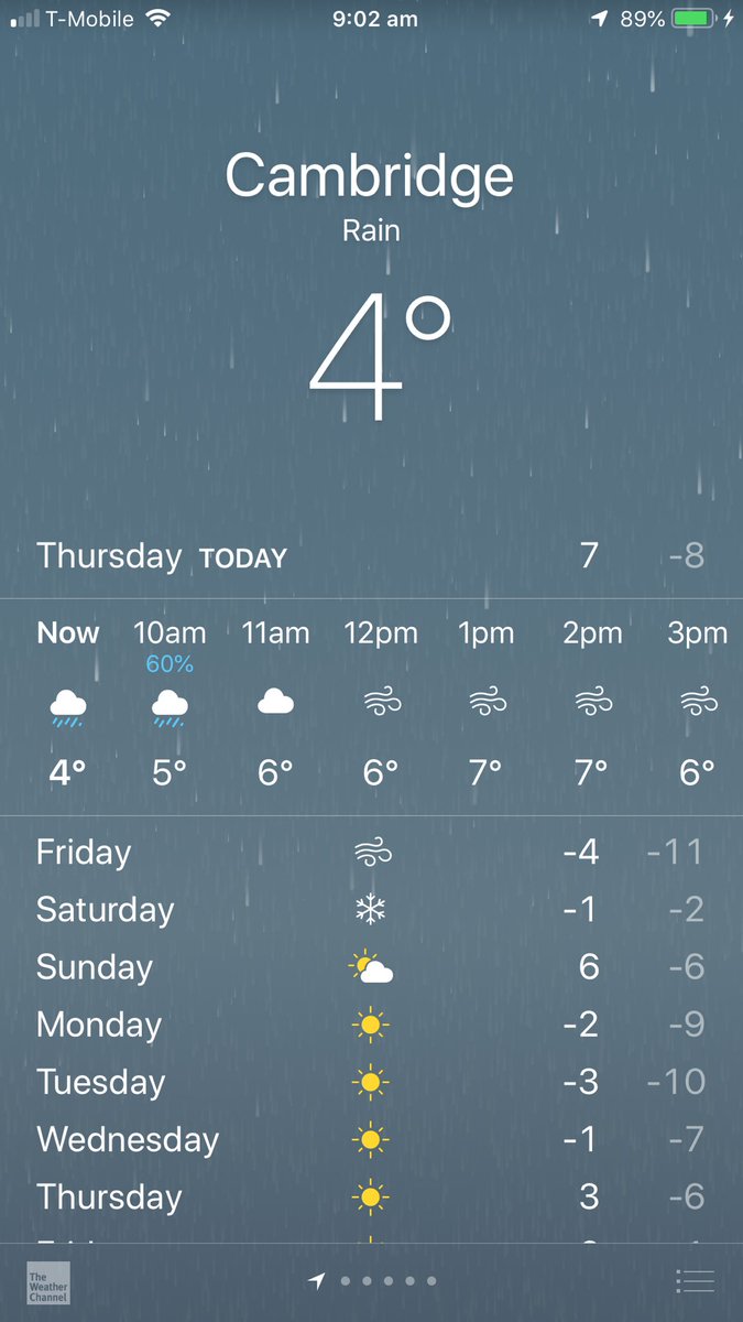 Angela Young tweet media