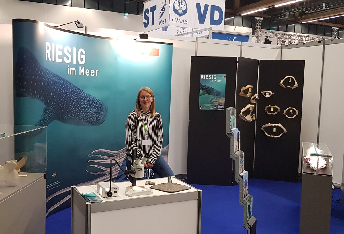 SMNStuttgart's tweet photo. Mit #RIESIGimMeer auf der #InterDive in Frankfurt. Noch bis Sonntag informieren wir in Halle 11.1. รผber unsere aktuelle Sonderausstellung und die marine Vielfalt allgemein. Mitsamt Haigebissen, Walwirbeln u.v.m. Vorbeikommen! https://t.co/wxivom0a67