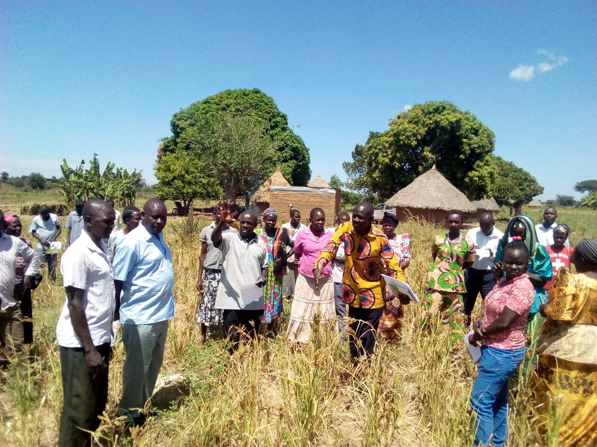 david_ojuu's tweet photo. Getting insights on performance of New NAROMILLET varieties as I aspire to contribute to productivity enhancement in Semi-Arid Teso subregion! Thanks to HOPE II @NaSARRI, @ICRISAT https://t.co/Cgz1U38nad