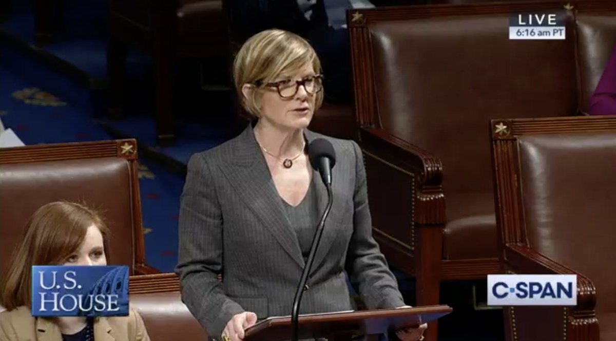 Rep. Susie Lee (D. Nev.) stands on the House floor and discusses her resolution.