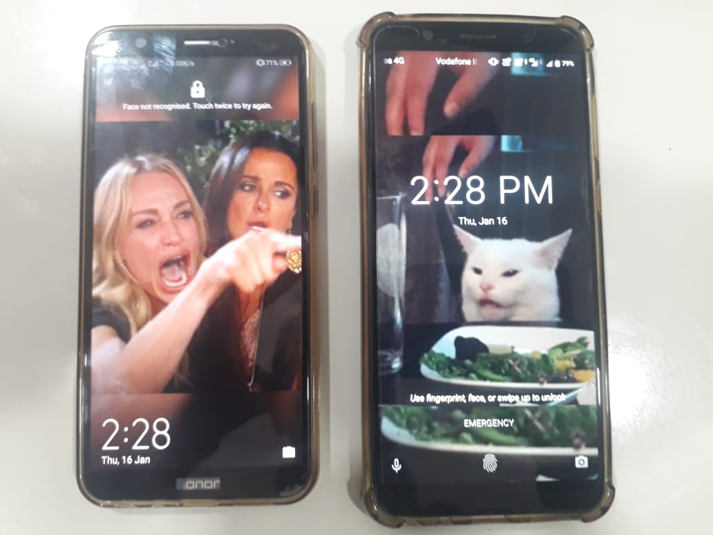 memegasm's tweet photo. My gf yelling at me to not set this pic on her wallpaper,  &amp; I'm still setting it anyways. https://t.co/abGx9ypfl2