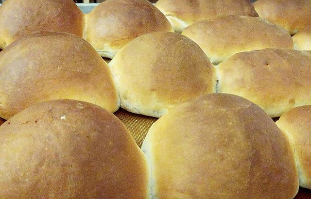 BakedLoveHTX's tweet photo. OK who's been missing their vegan kolache fix? Thank you for everyone's patience and understanding during our absence! Lots of love ❤️
.
. https://t.co/Hy8mjvylV4 https://t.co/UmG8M0RVb9