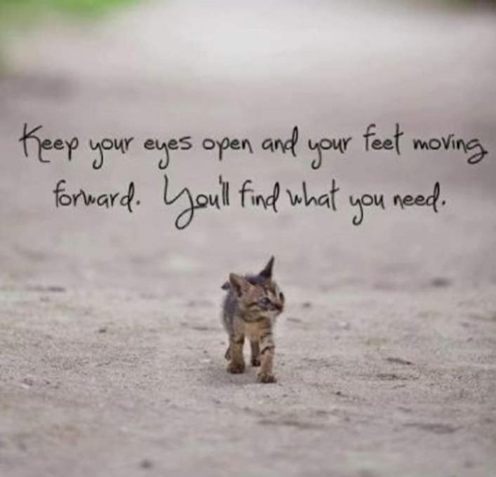 #keepmoving you will find your #need