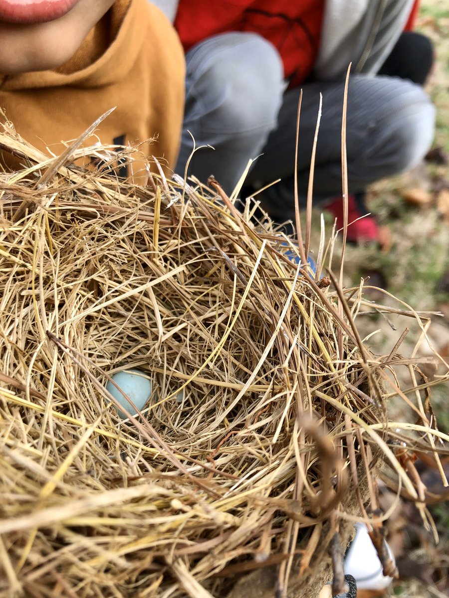 Our first graders <a href="/MECME_School/">MillbrookElem</a> are working hard on choosing an ideal location for our bird sanctuary. #birdwatching #wcpss #pblworks #enviormentalconnections