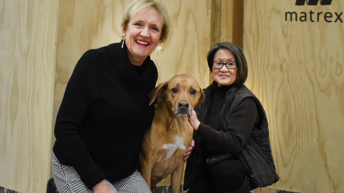 MatrexExhibits's tweet photo. Congratulations, Doris, on your retirement!  Your service and friendship to all of us at Matrex since 1985 will never be forgotten.  We wish you all the best...you truly deserve it. #Matrex #bestemployees #TransportationOG https://t.co/i4ENpA8rYk