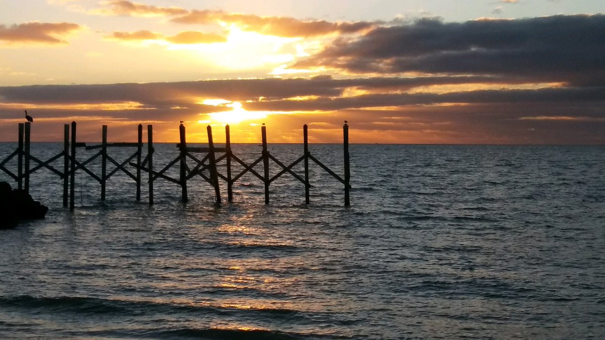 This morning’s beautiful #sunrise. (Pic taken by Adam Denny) #floridakeys #flkeys #ocean #beach #paradise