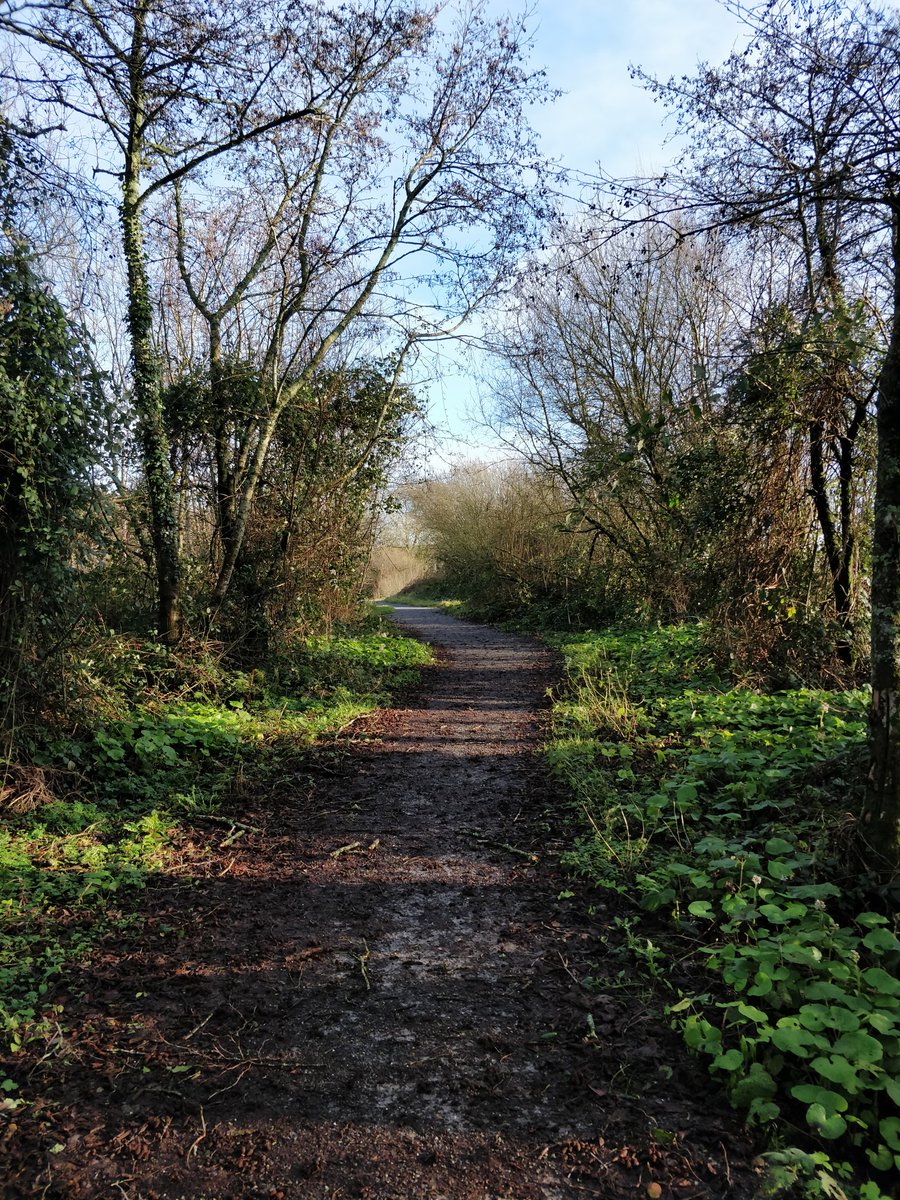 wayne_sp8's tweet photo. Day 16 of #100daysofwalking
Went a bit further than usual to reach the 10k 🚶
Soundtrack courtesy of #Noogle and @OnlyRossBrowne again. Ep 3 is even better again! 😂 https://t.co/mcl5vL3MOq