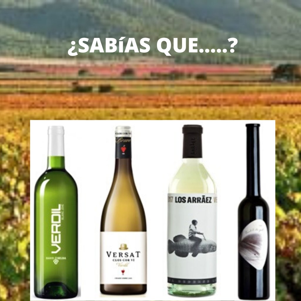 VinosDOValencia's tweet photo. En la #DOValencia se elabora el único vino del mundo  producido con la variedad #Verdil?  Es una uva exclusiva y autóctona del valle de Fontanars dels Alforins.
Actualmente sólo 4 bodegas elaboran vinos con esta uva: #bodegadanielbelda #bodegasenguera #ClosCorví y #bodegasarraez https://t.co/fu3OqIOACh