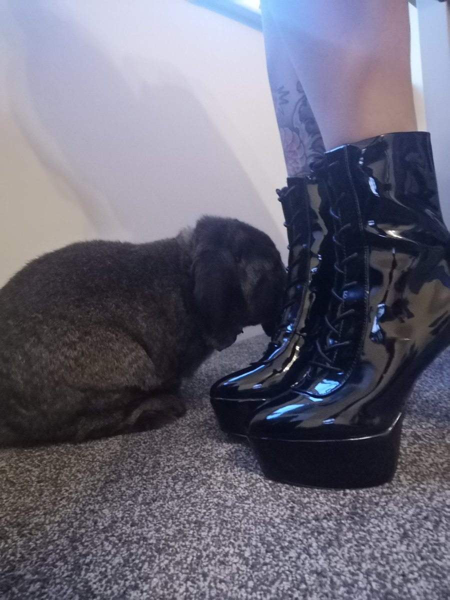 Miss Foxbite tweet media