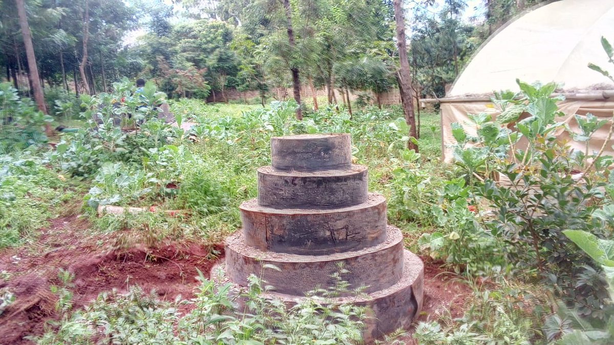 FOOD SECURITY is built on four pillars: FOOD AVAILABILITY; FOOD ACCESS; FOOD USE; AND FOOD STABILITY. When one of these pillars is unstable or non-existent, people can live in a state of food insecurity. Step Farming is an alternative of farming in urban areas.