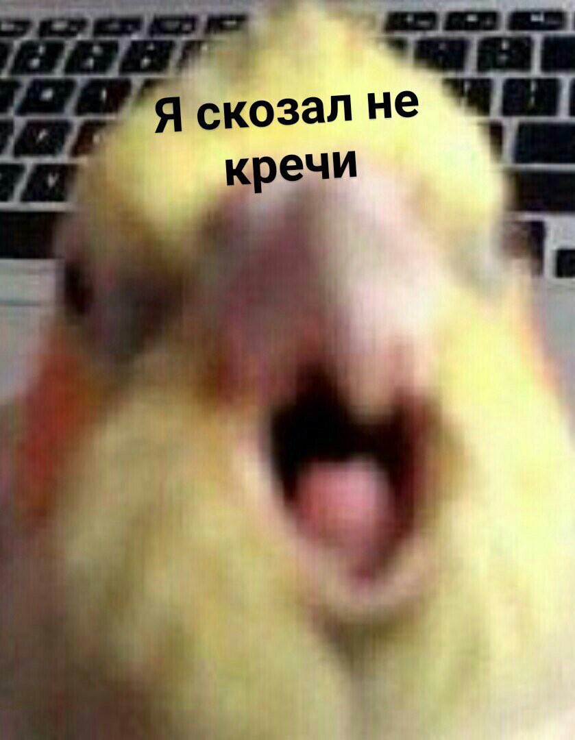 infinitifury's tweet photo. @n_laziness СПАСИБО БРАТАН ПРИВЕТ Я ТАК СКУЧАЛ НАДЕЮСЬ ТЫ ТОЖЕ
НЕТ? НУ НИЧЕГО Я НЕ ОБИДЧИВЫЙ https://t.co/rGkrLoWw8e