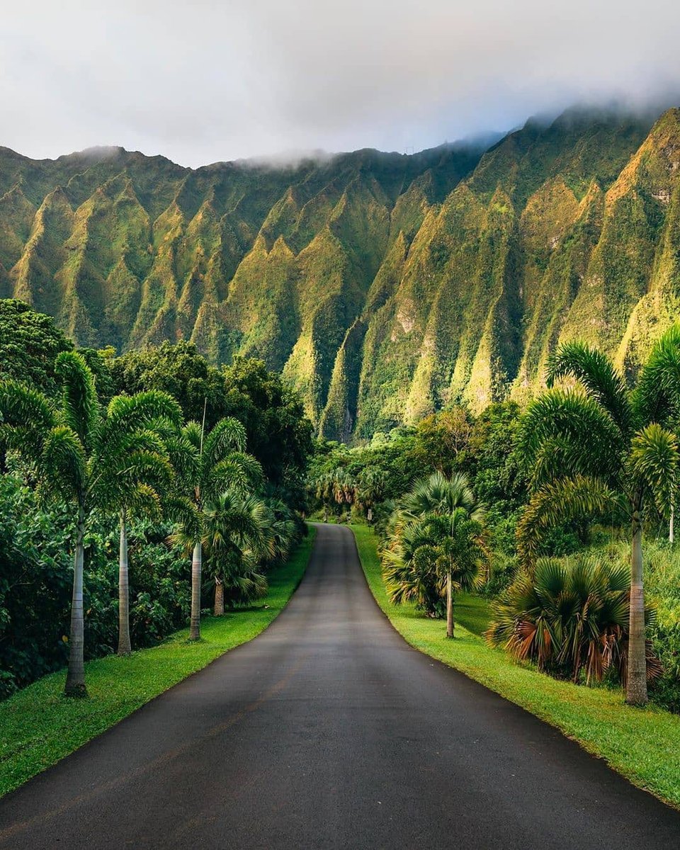 Tag someone you'd bring to Oahu Hawaii!#instatravelingram #travelphotogaphers #travelphotographyguide #globewanderer #travelluxury #wanderlust_tribe #vacationmood #holidayphotos #stayandwanderer #livelifenow