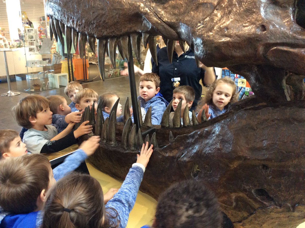CBAWestChester's tweet photo. #wehavearrived #prek #learningaboutdinosaurs #fromtheexperts @delmnh 🦕🦖🆒💯‼️👍 https://t.co/cgpDNl2snr