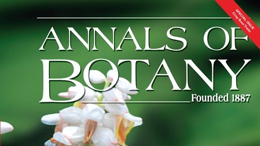 New publication: Root-zone hypoxia reduces growth of the tropical forage grass Urochloa humidicola in high-nutrient but not low-nutrient conditions bit.ly/2RpTh2X <a href="/MyCIAT/">MyCIAT</a>