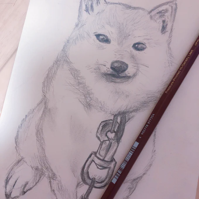 今更ながら、絵が上手くなりたいなぁと思い立ったので、高校生ぶりくらいにイラスト以外を描こうと実家の犬くんを描き始めてみた。んんん・・・似ない・・・金属ってどう描くんだろう・・・

毎日とはいかないかもだけど、ちょっとずつ描いてみようかな。上手くなぁれ 