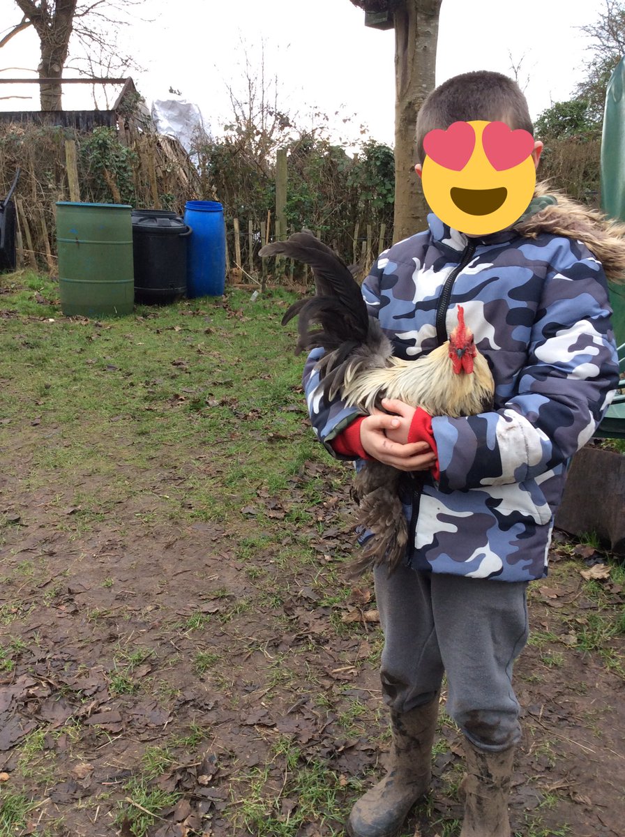 foley_park's tweet photo. Year 4 met the new chickens today! Welcome to Tupac, Biggy, Roger, Pingu and Mumble. https://t.co/jI2w46s22P