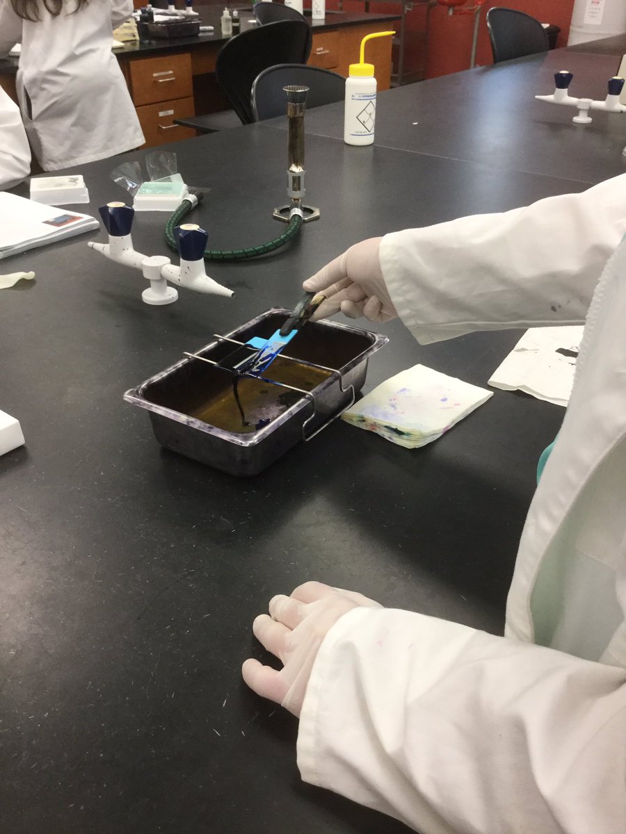 ProfB_Science's tweet photo. My micro lab students are learning staining techniques. They are killin it in lab today! 🧫🦠🧪👨🏼‍🔬🔬🥼🤓 #microbiology #sciencerockstars #bcstudentcentered #activelearning #handsonisbest #lovemystudents #lovemyjob @BrowardCollege @Bc1005L @BCSouthCampus @bc_president @central_bc https://t.co/p5EnfWhBgH