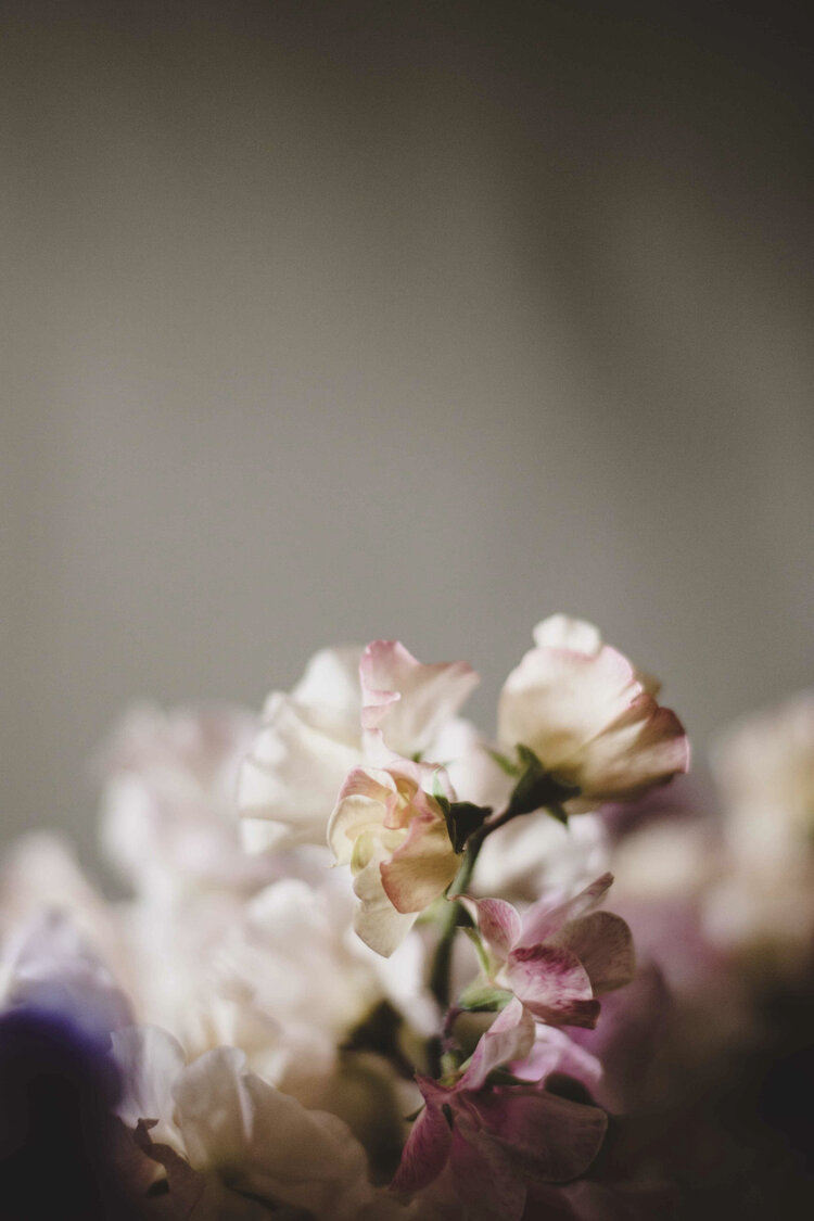 Its newsletter 2020 time! See all the beautiful things!