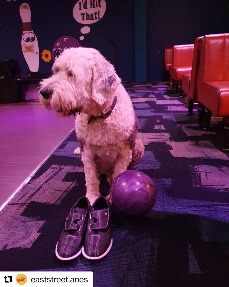 Cool As Leicester (@coolasleicester) on Twitter photo Guys! Did you know you can take your dog bowling?
Tip. If you’re thinking of taking someone on a date to <a href="/eaststreetlanes/">East Street Lanes</a>, also bring your dog for maximum chance of second date. 🎳🐶💞
#leicester #leicestershire #dogfriendly #coolasleicester #supportleicesterlocal Guys! Did you know you can take your dog bowling?
Tip. If you’re thinking of taking someone on a date to <a href="/eaststreetlanes/">East Street Lanes</a>, also bring your dog for maximum chance of second date. 🎳🐶💞
#leicester #leicestershire #dogfriendly #coolasleicester #supportleicesterlocal 