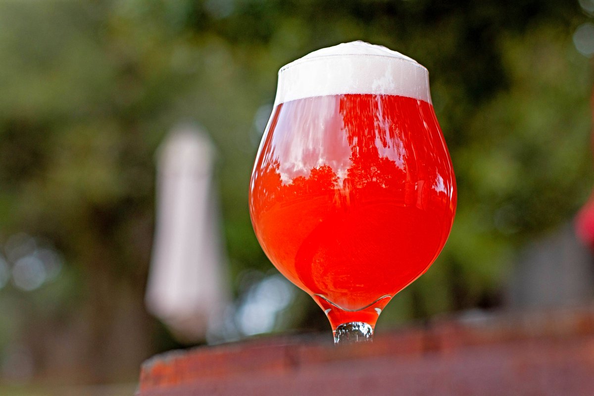 jesterkingbeer's tweet photo. Today we're releasing our latest batch of Vague Recollection -- farmhouse ale aged on grape pomace

A delightful, highly drinkable beer/wine hybrid with lovely fruit and complex fermentation character.

Available in bottle and by the glass at our tasting room starting 4pm today. https://t.co/pbfGz1hAly