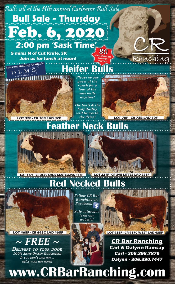 cropsncows's tweet photo. See full sale catalogue at: https://t.co/14g17Zxgqo #saskherefords https://t.co/P4RYRDhyQD