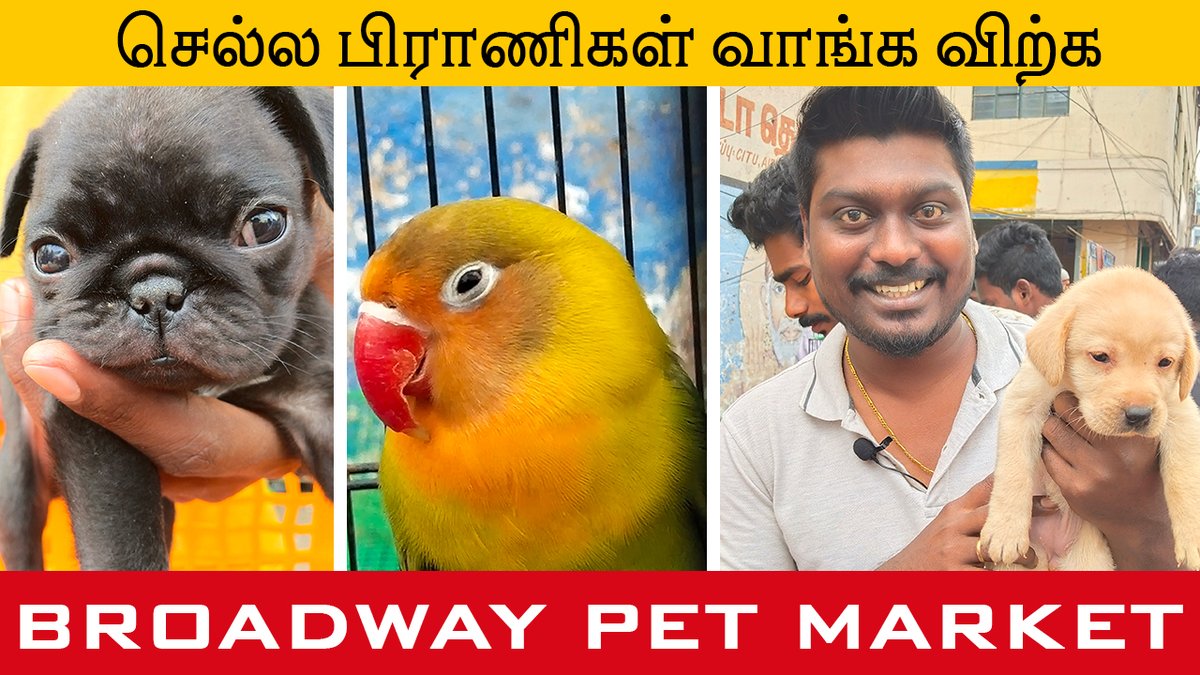 pet market broadway