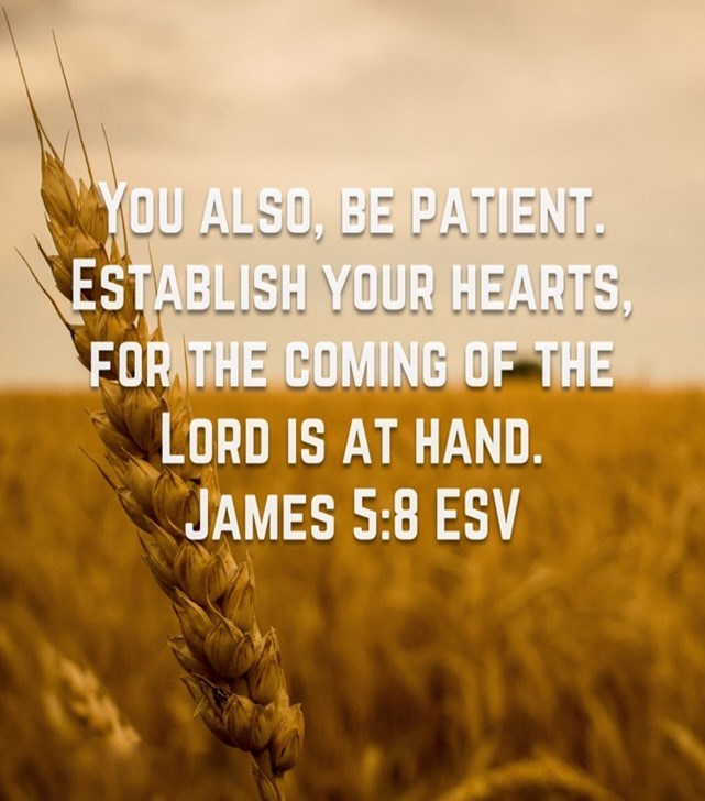 BereaCLC's tweet photo. Patiently Waiting for the Lord https://t.co/4V923Y0Qfg https://t.co/azRBVoBLDE