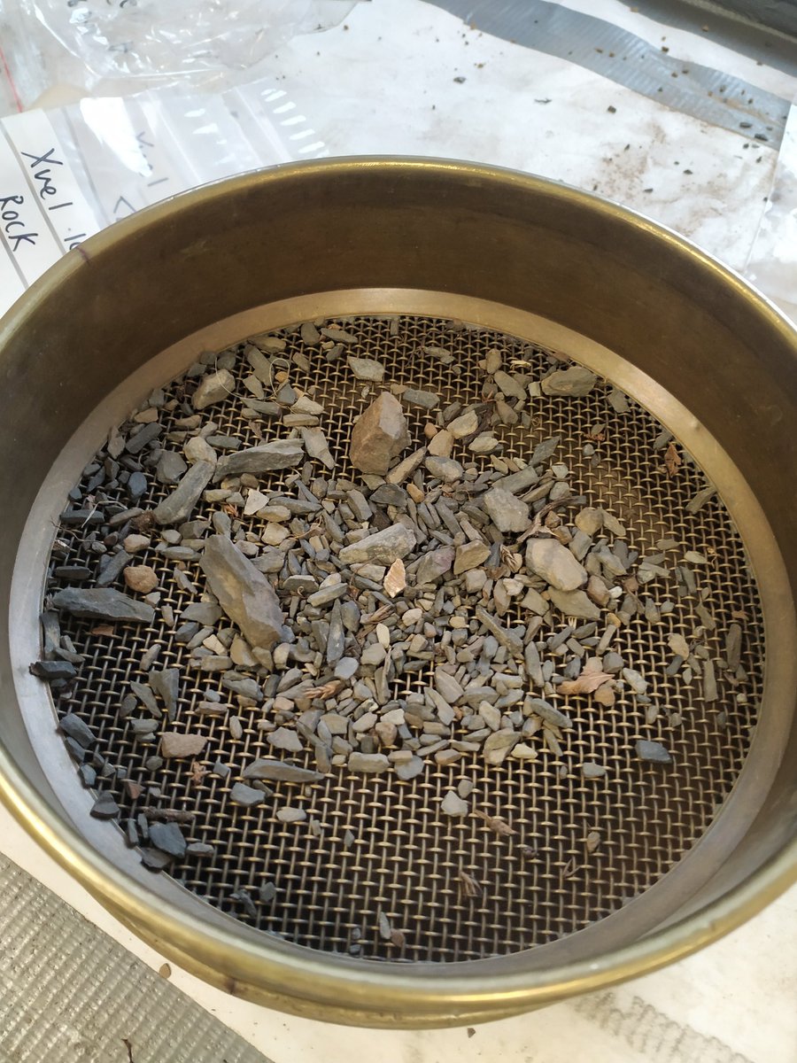 rinrivaille's tweet photo. Back to ancient lab techniques with my high altitude soil samples π§π»ββοΈ
#soil #alpineecosystems #phdtoil #giantmortar https://t.co/JeJHl4YKzo