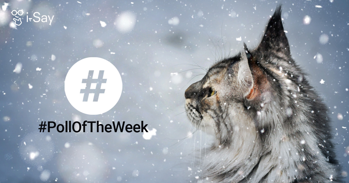 You like to ask questions and share your opinions? Create polls &amp; we might feature them on i-Say's website next week. Go for it!
#PollOfTheWeek! 

social.i-say.com/polls