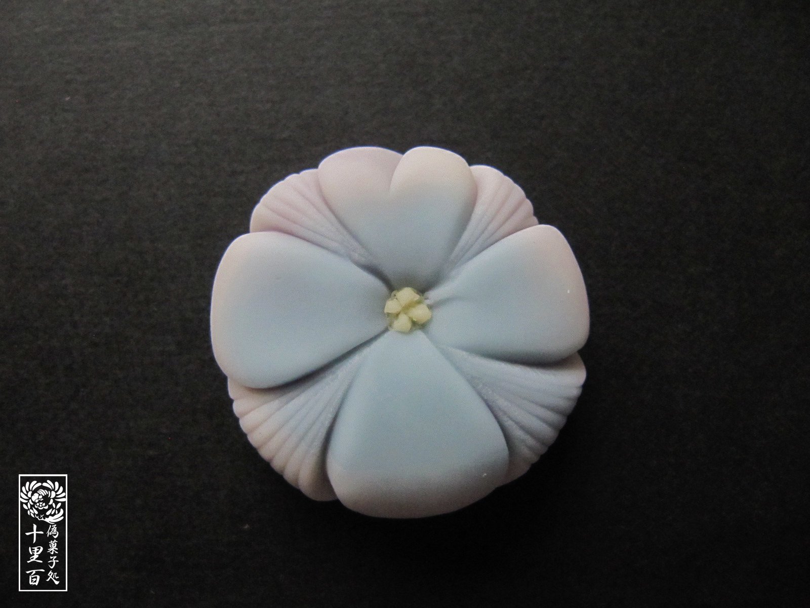 十里百 1 17の誕生花はセントポーリア 花言葉 小さな愛 1 17生まれの方お誕生日おめでとうございます 十里百誕生花和菓子化計画 T Co Vx5a3o1zw0 Twitter