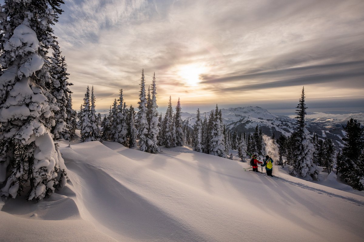 Whistler Blackcomb tweet media