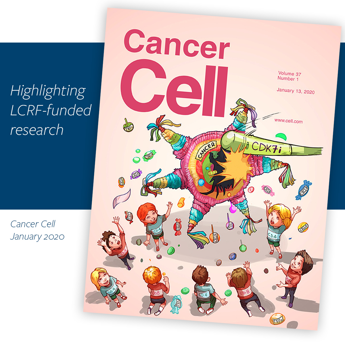 Small cell lung cancer as a piñata? 2017 LCRF grantee Dr. Hua Zhang &amp; team published a potential new way to improve effectiveness of immunotherapies in SCLC - and made this month's cover for Cancer Cell <a href="/CellPressNews/">Cell Press</a>. Proud to support your great work! lcrf.org/cellpress
