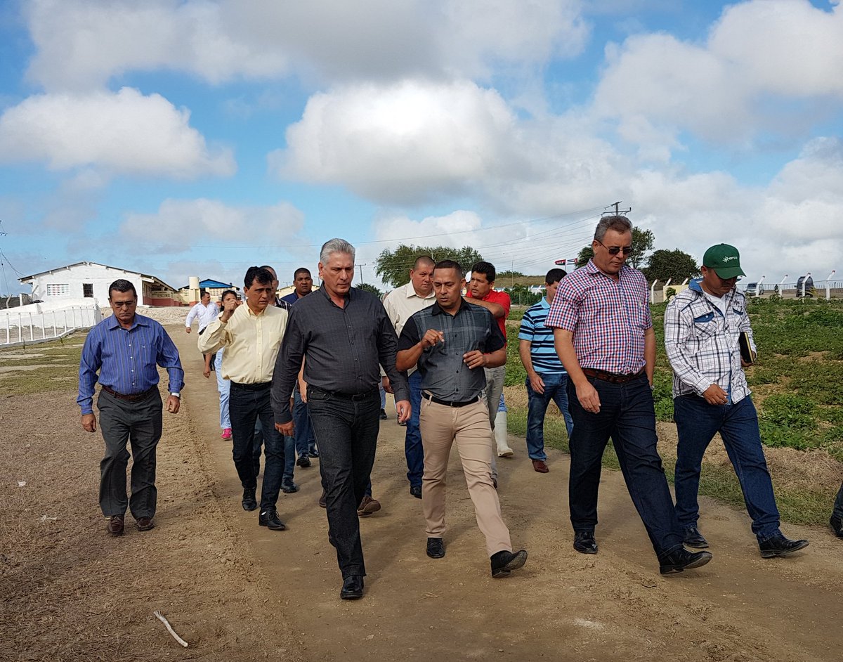 aparedescuba tweet media