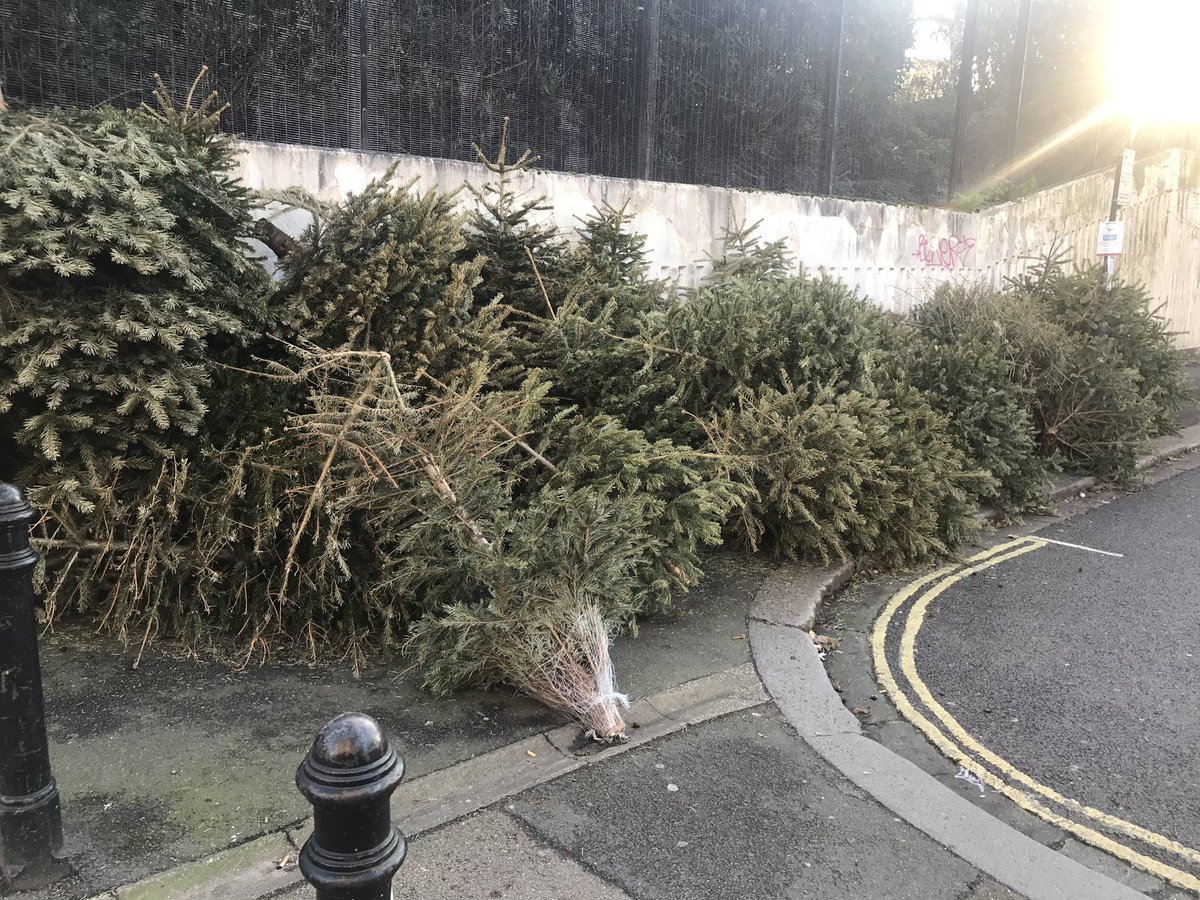 AmandaByram's tweet photo. So I guess everyone is anti deforestation - except at Christmas, coz everything is OK at Christmas #buyfake #wasteoftrees https://t.co/B1BkuQ4fHd