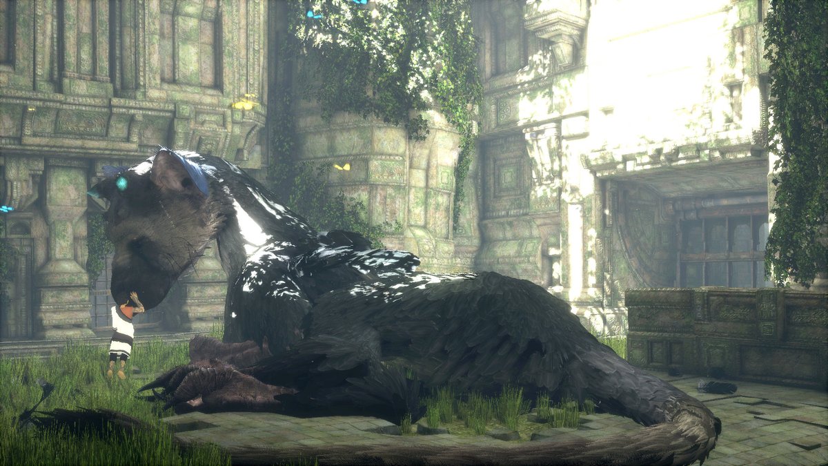 aquapendulum's tweet photo. #SmashDirect
Characters that a game like Smash Bros could have instead of another swordman:
- The Gravity Shifters (Gravity Rush)
- Iota &amp; Atoi (Tearaway)
- Aloy
- Trico https://t.co/CPJNHNOgyN