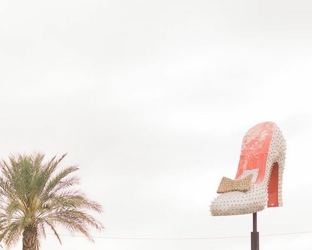 deidraphoto's tweet photo. 🌴👠⭐️⠀
.⠀
.⠀
.⠀
.⠀
.⠀
#neonmuseum #neonmuseumwedding #neon #classicvegas #lasvegasphotographer #rocknrollbride #lasvegaselopement #letselope #lasvegaswedding #nikon #d800 #thisisvegas #shesaidyes #inlove #ido #realwedding #offthebeatenpath #vegase… https://t.co/H8QLHydUCc https://t.co/TDMCnXEnSd
