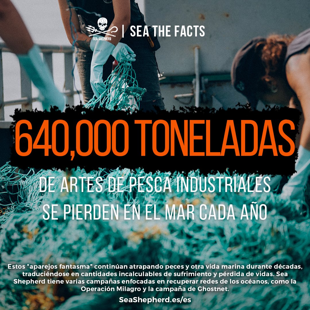 ¡Al año se pierden 640,000 toneladas de aparejos de pesca industriales en el mar, equivalente al peso de 4266 ballenas azules! 

Debido a que los plásticos se degradan lentamente, estos equipos de pesca duran décadas en los océanos donde siguen matando indiscriminadamente.