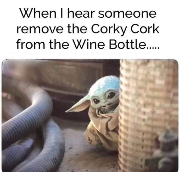 BradysWine's tweet photo. https://t.co/uMTkvhvutQ