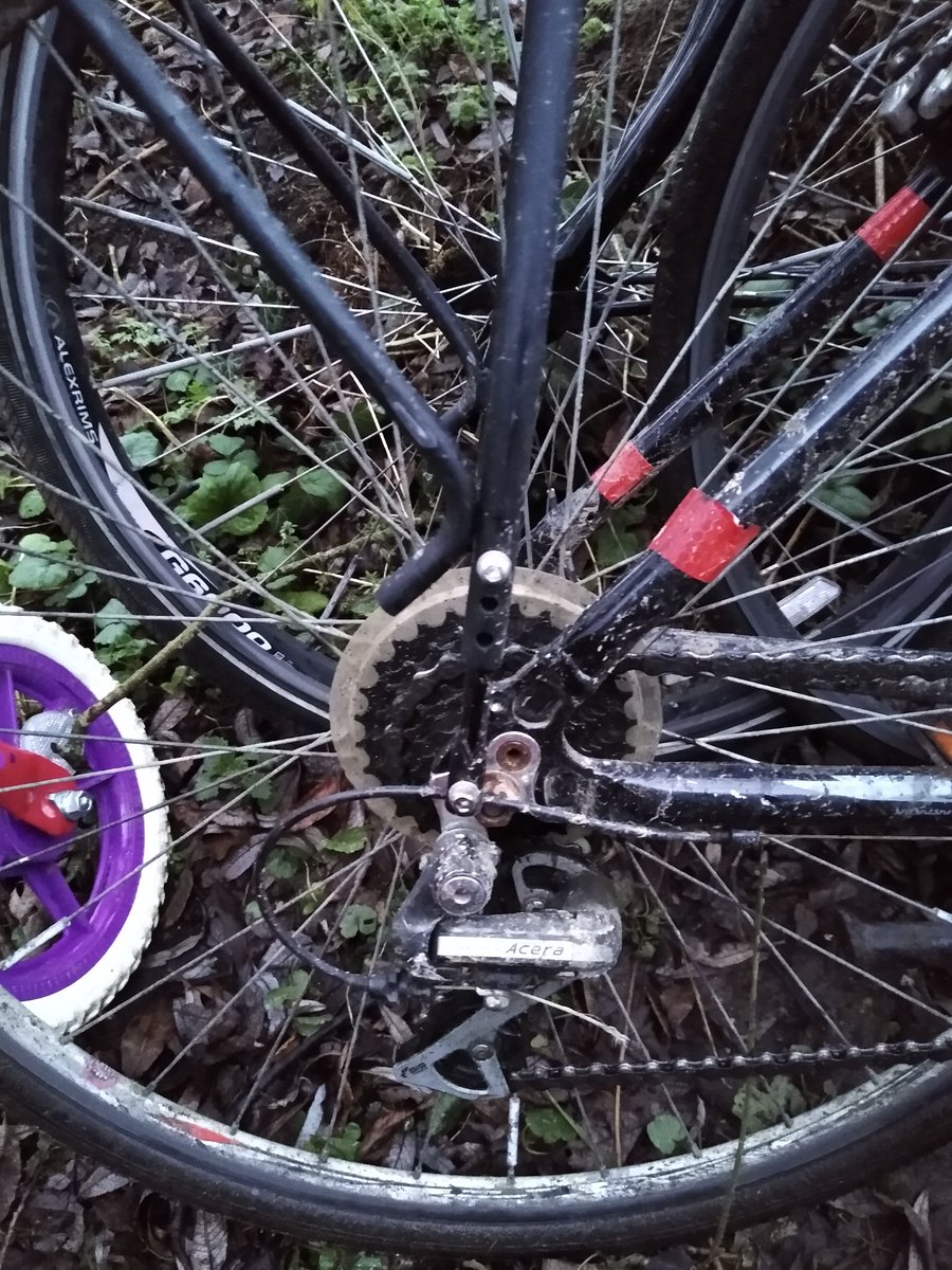 Richard MacKenzie tweet media