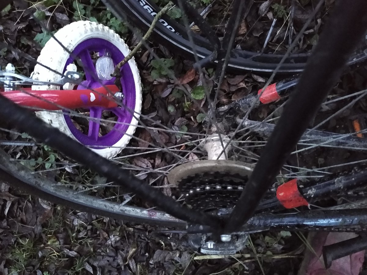 Richard MacKenzie tweet media