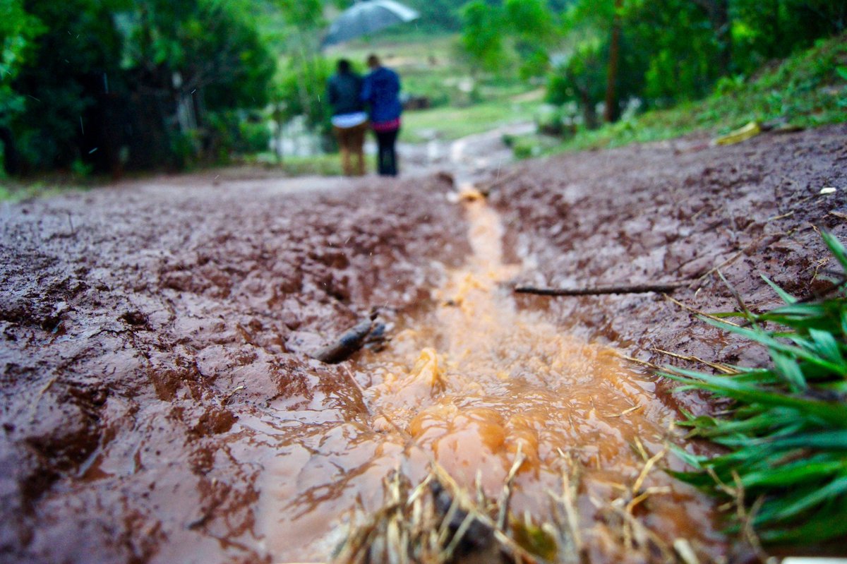 A must-read:
The second part in a three-part series that sheds light on the labor-intensive work of tareferos (yerba harvesters) and the world that surrounds them.
#thedailytea #yerbamate

bit.ly/2RAkJeP