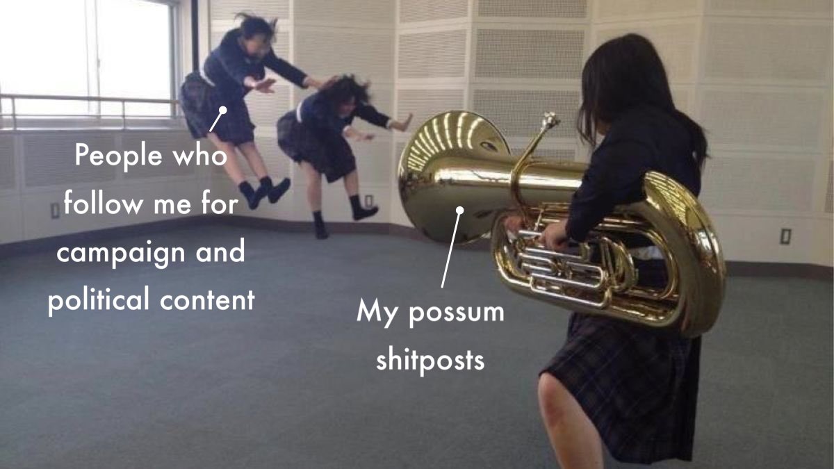 A meme where one girl levels a shiny brass tuba (labeled “my possum shitposts”) like a grenade launcher at two other girls (labeled “people who follow me for campaign and political content”) as they dramatically fly backward, as though blasted with force.