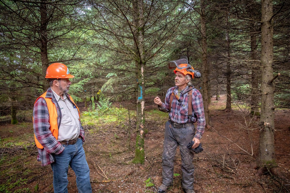 Pour savoir ce qui se passera en forêt privée cette année, toujours intéressant de lire Sur le radar (2020).
bit.ly/2Nv1IsK