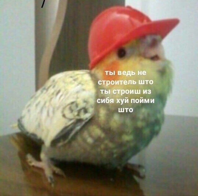infinitifury's tweet photo. @n_laziness Бля а я уже напрягся, а ты... https://t.co/wzYlykDBwr