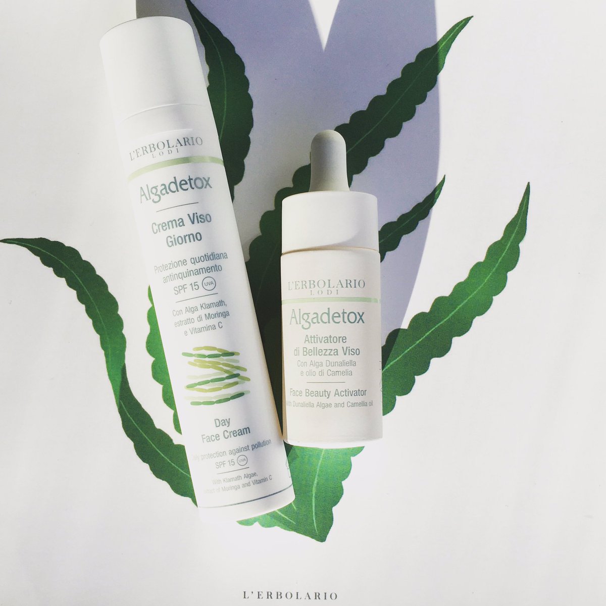 erbolariolondon's tweet photo. DETOX is this month’s resolution! 💚 Algadetox is the line for you!30% OFF the Face Beauty Activator 🌿 106A Upper Street London N1 1QN  https://t.co/bCB0xO2fXN #vegan #crueltyfree #parabenfree #erbolario #onlineshopping #ethicalfashion #skincare #plantbased #slsfree #madeinitaly https://t.co/Fln5rHal1P